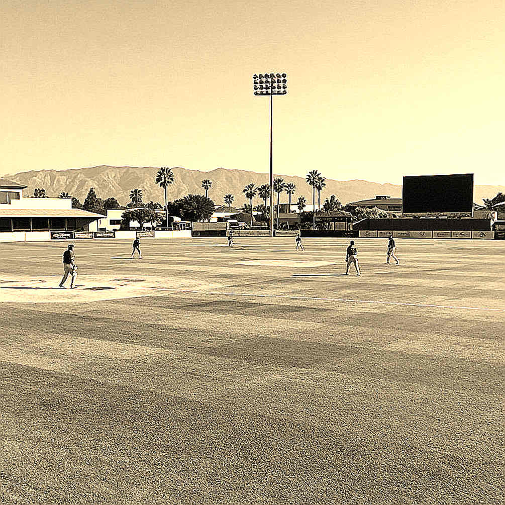 The Empty Block: When Cricket's Ledger Loses a Match The Empty Block: When Cricket's Ledger Loses a Match