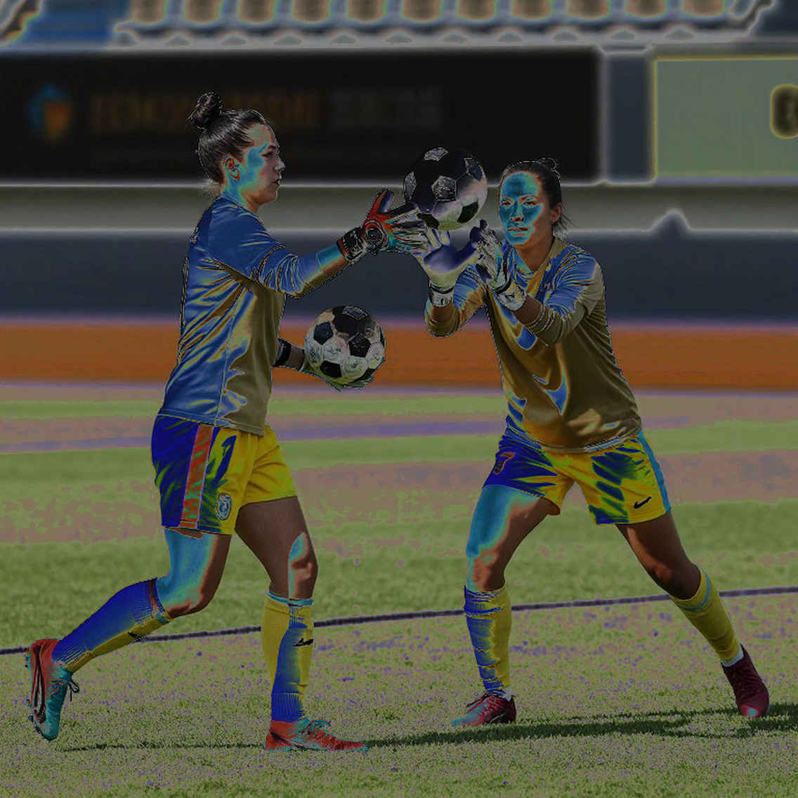 Noise in an Empty Cell: How Transfer-Window Rumour Fills the Gap Where Information Should Be Noise in an Empty Cell: How Transfer-Window Rumour Fills the Gap Where Information Should Be