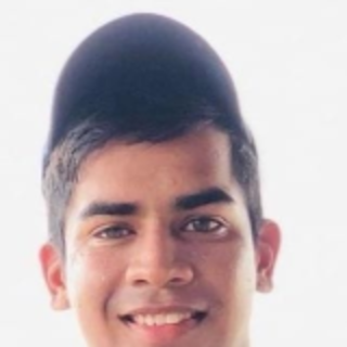 Lovekesh Bansal
