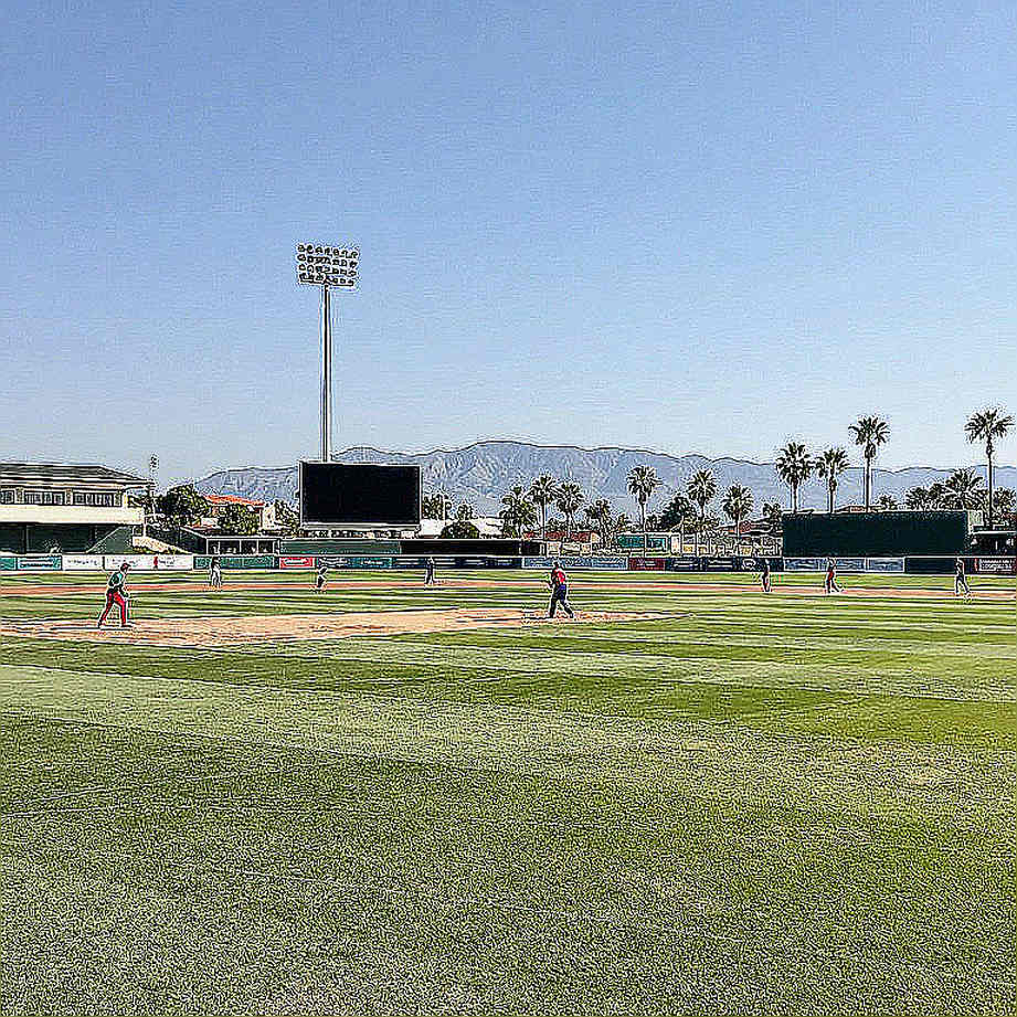 Reading the Empty Data Sheet: When Cricket Analysis Demands Evidence Before Assumption Reading the Empty Data Sheet: When Cricket Analysis Demands Evidence Before Assumption